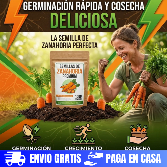 SEMILLAS DE ZANAHORIA