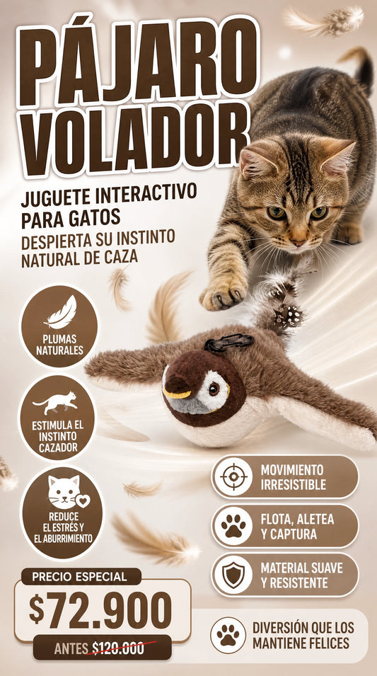 PAJARO VOLADOR