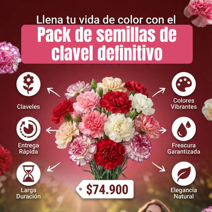 200 Semillas de clavel PREMIUM + Guía de cultivo⚜️